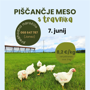 Piščančje meso s travnika