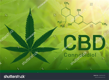 Zeliščni izvleček CBD 10g