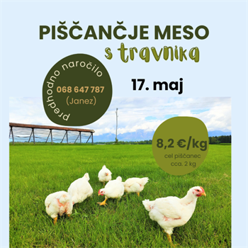 Piščančje meso s travnika