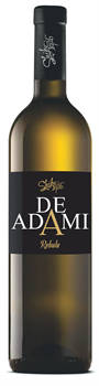 REBULA 2024 - De ADami